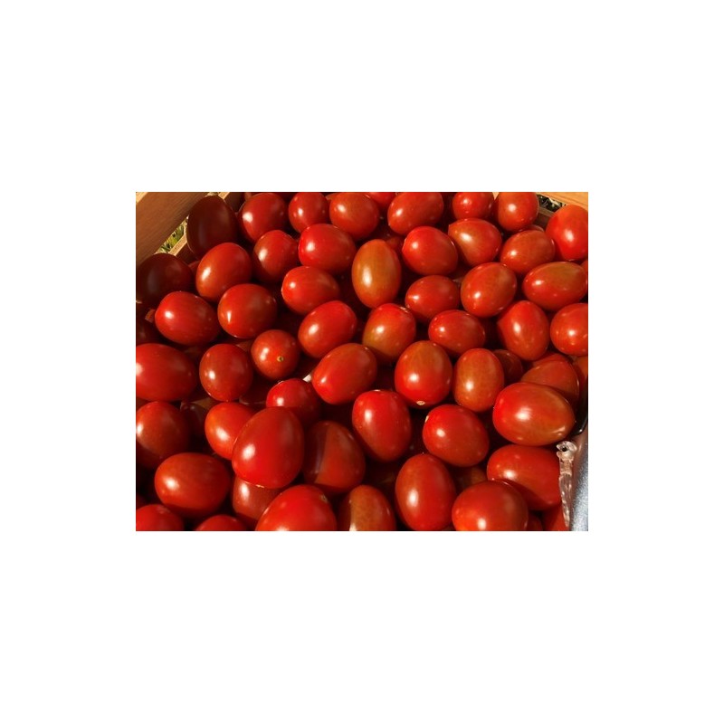 Red Bounty F1