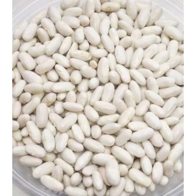 Seminte fasole Cannellino Lingot, 200g, 500g Seminte fasole Cannellino Lingot, 200g, 500g