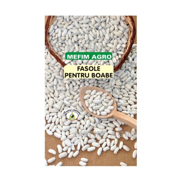 Seminte fasole Cannellino Lingot, 200g, 500g