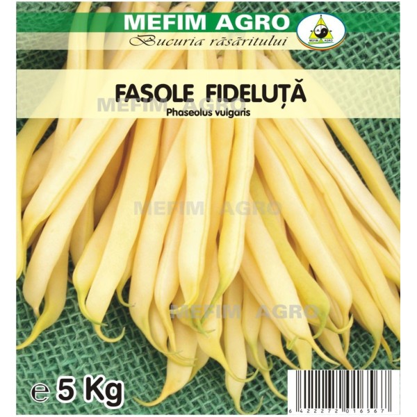 Seminte fasole Sonesta, 1 kg, 5kg