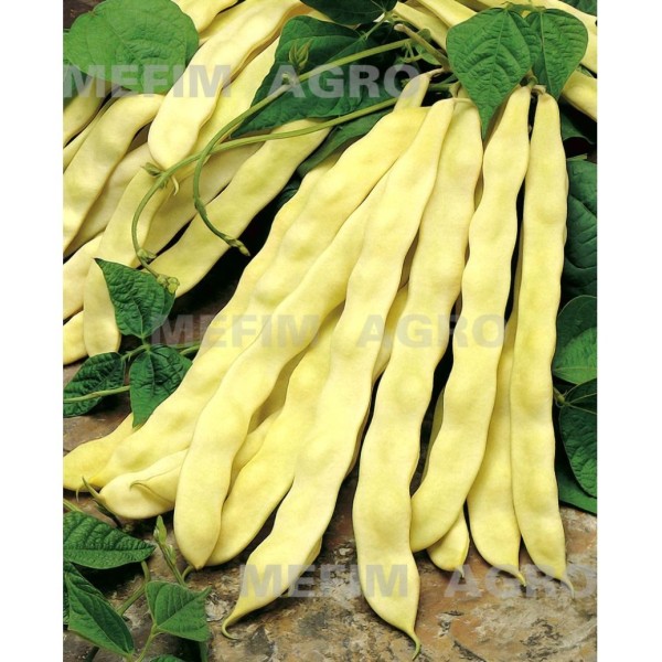 Seminte fasole urcatoare Goldmarie, 50 gr, 200 gr, 1 kg