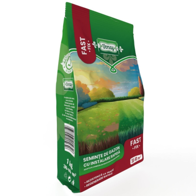 Seminte gazon refacere Versay 1 kg – regenerare rapida si eficienta