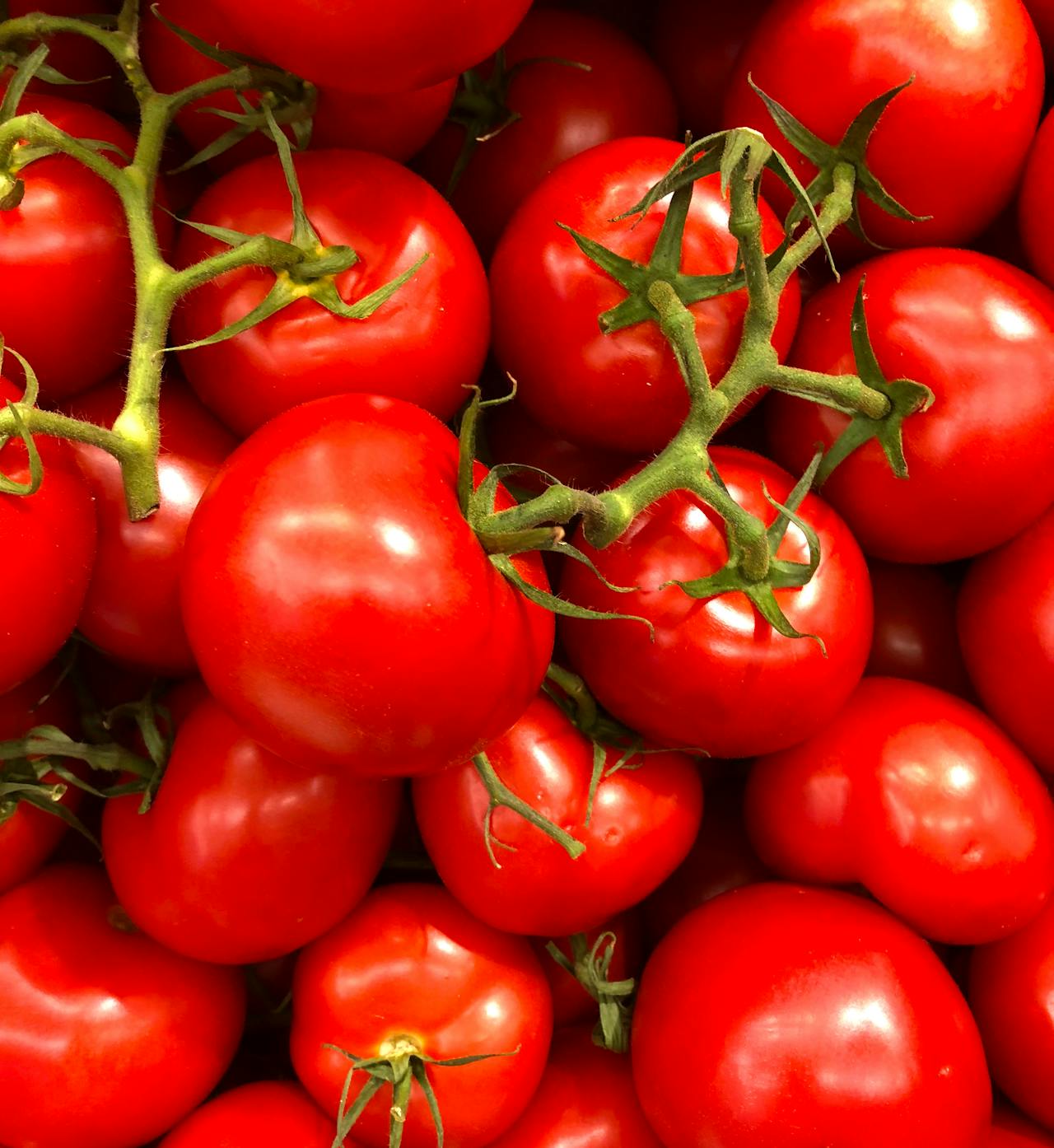 Totul despre cultura de rosii: plantare, cultivare, intretinere